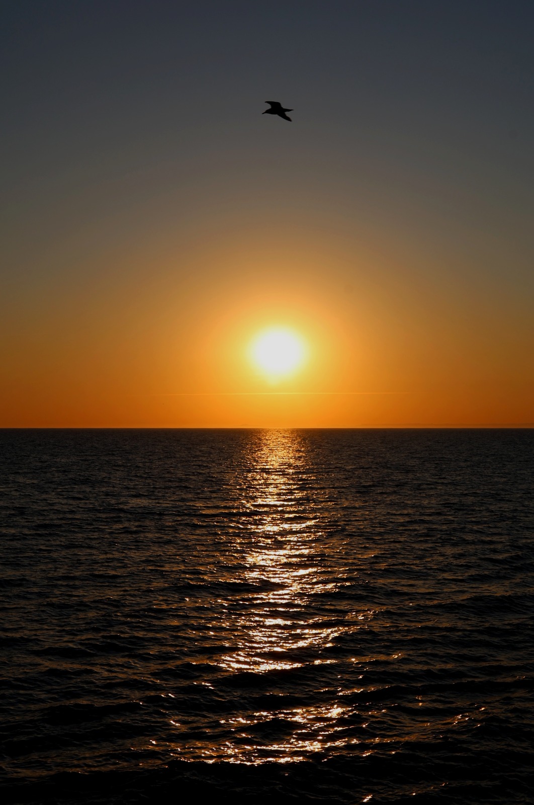 Ocean at sunset